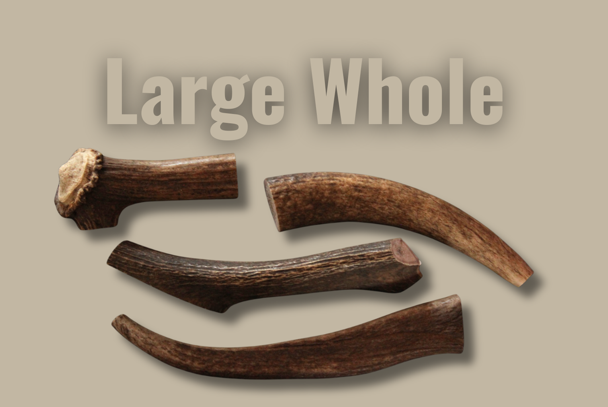 Hard Elk Antler Whole/Split Combo Pack