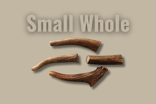Hard Antler — Small — Whole