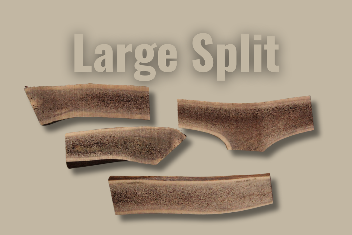 Hard Antler — Large — Split