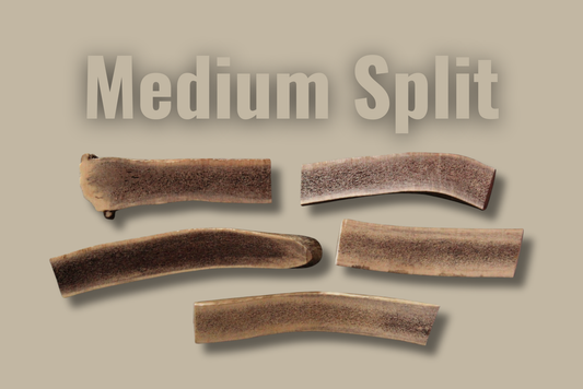 Hard Antler — Medium — Split