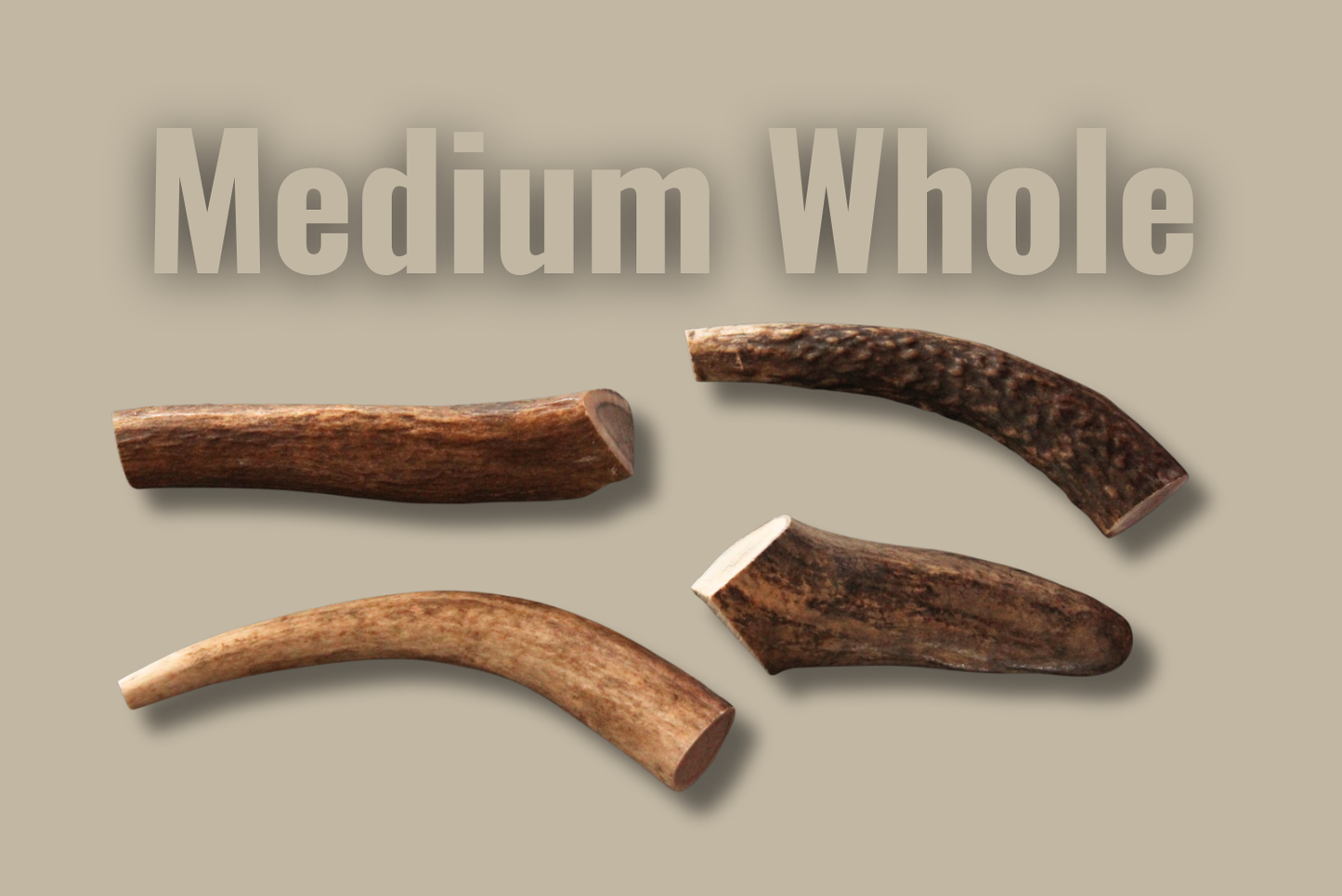 Hard Antler — Medium — Whole