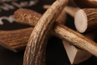 Split Elk Antler Chew