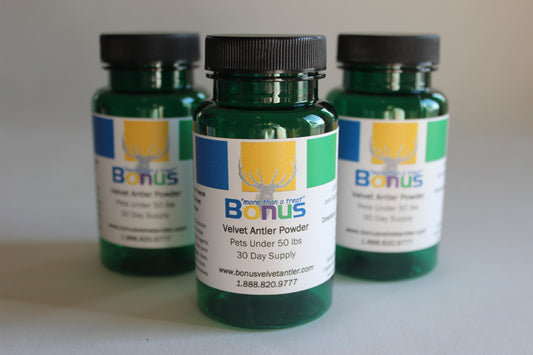 Velvet Antler — Powder — 15g