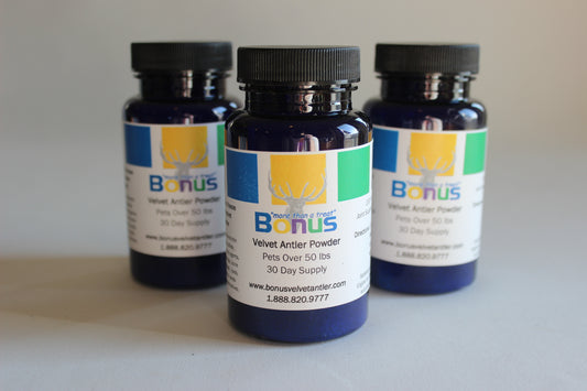 Velvet Antler — Powder — 30g