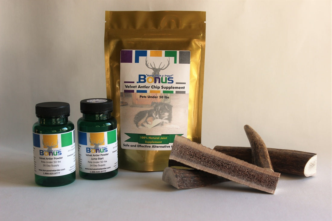 Jump Start! — Nutritional Boost